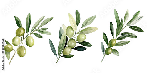Watercolor Illustration Of Olive Branches With Green Leaves Isolated On Black