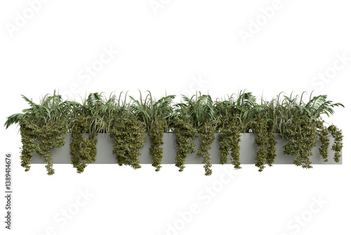 Fototapeta Long planter box filled with hanging greenery