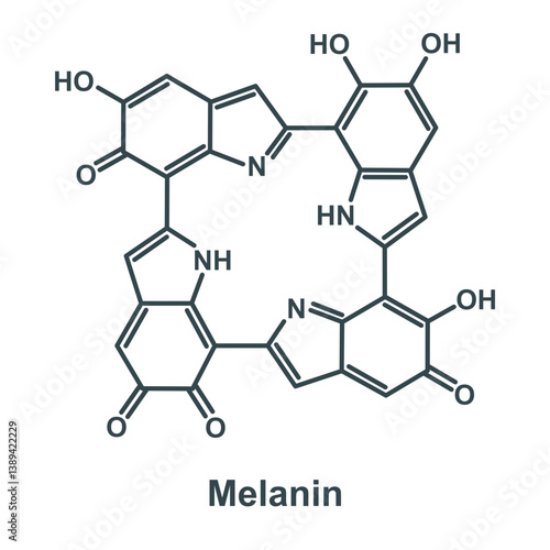 Chemical structure of melanin
