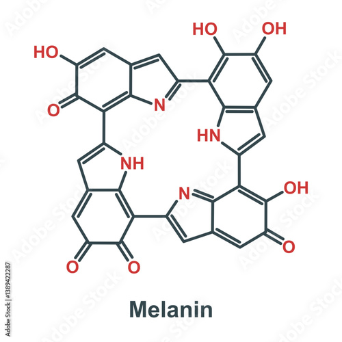 Chemical structure of melanin