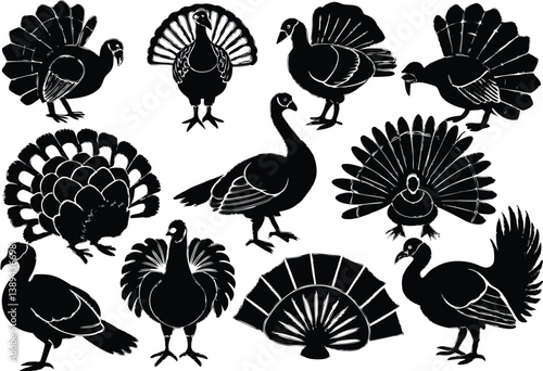 turkey silhouette set. turkey isolated farm animal silhouette icon
