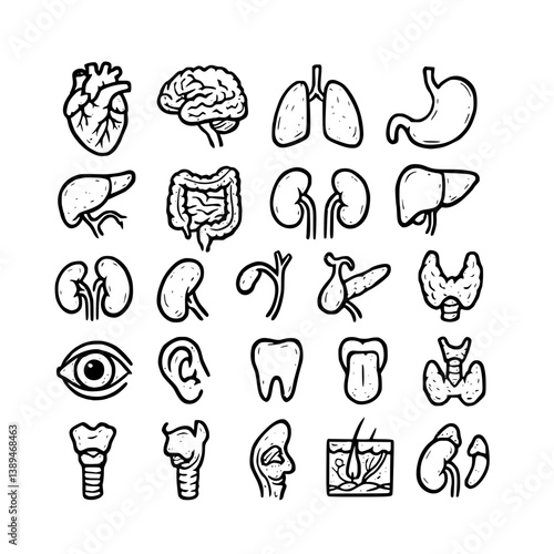 Human Organs Doodle Set