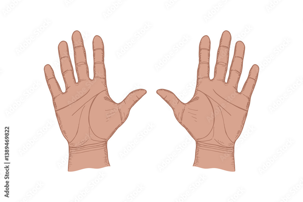 Open palms of hands sketch drawing illustration. Hand drawn vector line art clipart in engraving style, diversity, greeting, support, protect concept Open palms of hands sketch drawing illustration. Hand drawn vector line art clipart in engraving style, diversity, greeting, support, protect concept