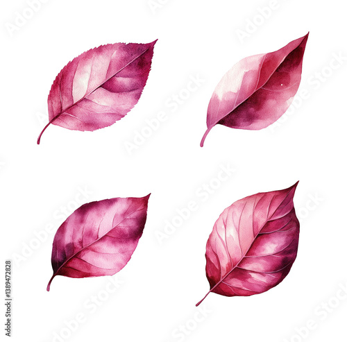set of colorful leaves