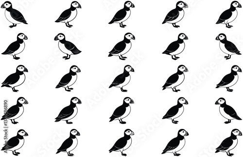 vector puffin vird
