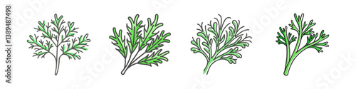 dill icon, dill vector illustration-simple illustration of dill, perfect for dill logos and icons