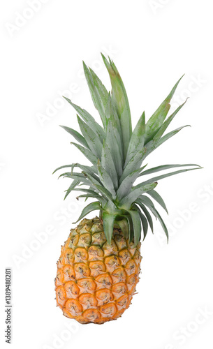 Whole pineapple with leaves on transparen png.