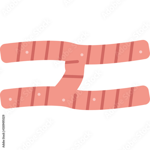 Skeletal Muscle Cell Icon