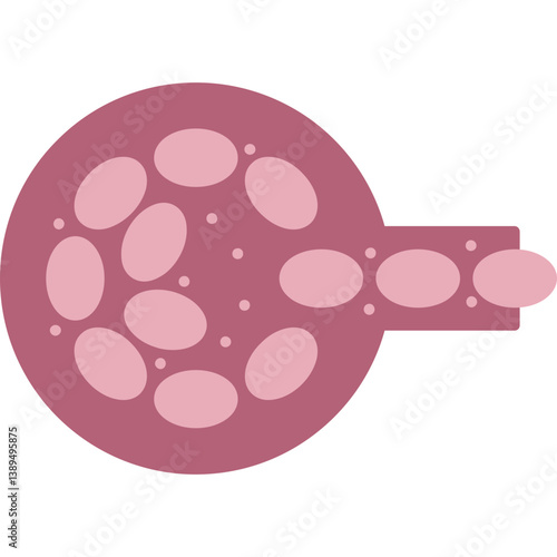 Trophectoderm Cell Icon