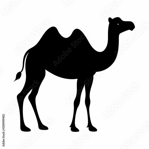 camel silhouette isolated white background