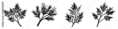 dill icon, dill silhouette vector illustration-simple silhouette illustration of dill, perfect for dill logos and icons