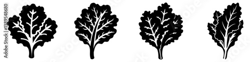 kale icon, kale silhouette vector illustration-simple silhouette illustration of kale, perfect for kale logos and icons
