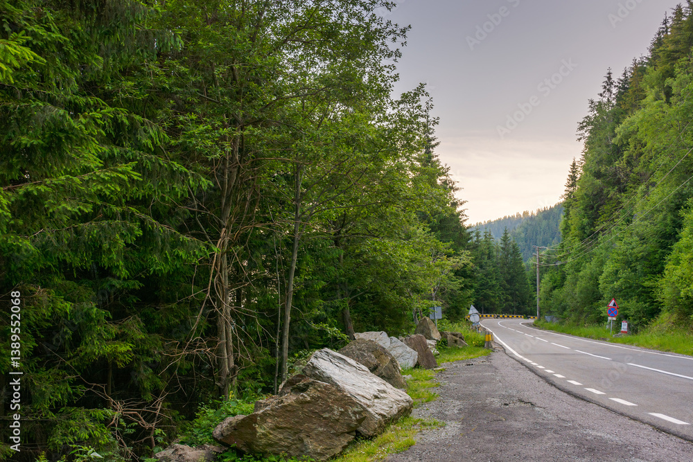 transfagarasan road winding near steep forested slope. great outdoors of fagaras mountain ridge of romania in summer. popular travel destination of europe. sibiu county woodland
