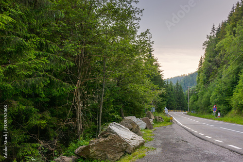 Obraz na płótnie transfagarasan road winding near steep forested slope. great outdoors of fagaras mountain ridge of romania in summer. popular travel destination of europe. sibiu county woodland w salonie