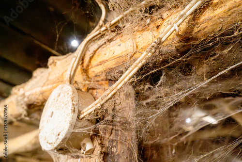 This photo captures a close-up of old electrical wiring installed on a rough wooden beam, heavily covered in cobwebs and dust. The aged, neglected setting suggests an abandoned or seldom-used building