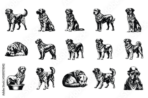 Anatolian Shepherd Do