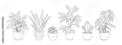 Set of Houseplants outline drawings. Indoor exotic flowers in pots line art. Monstera, aloe, cactus for home interior plans, design. Vector illustrations isolated	