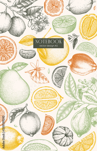 Citrus fruit cover design. Hand drawn vector illustration. Healthy food sketches. Engraved summer background. NOT AI generated