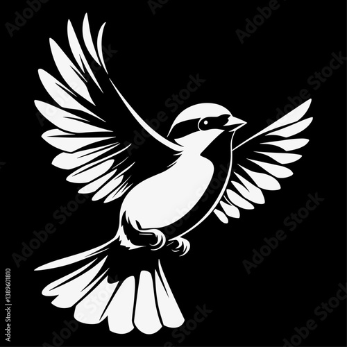 Soaring Bird Vector Graphic in Black Background Format
