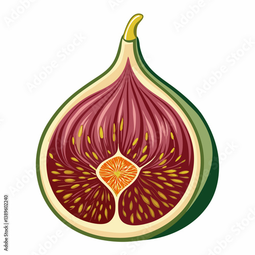 fresh figs isolated on white