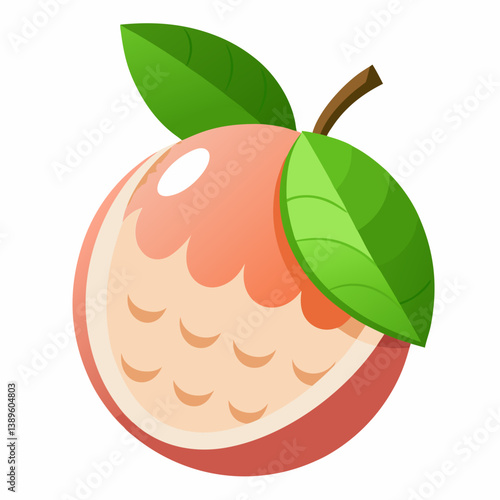 vector illustration of an apple fruit