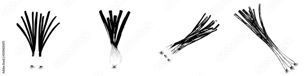 Isolated young spring onion as a food item in a sketch, representing modern scallion greens used as a vegetarian condiment Isolated young spring onion as a food item in a sketch, representing modern scallion greens used as a vegetarian condiment