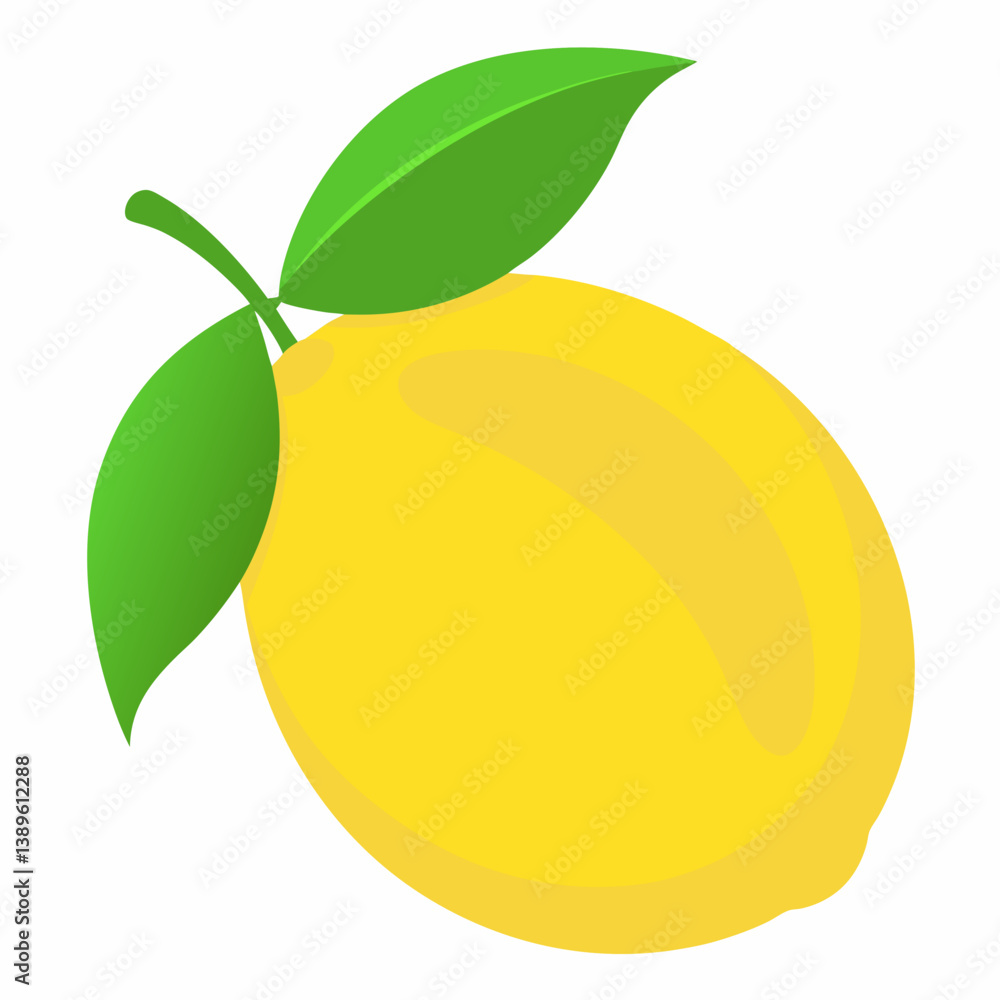 vector illustration of lemon vector illustration of lemon