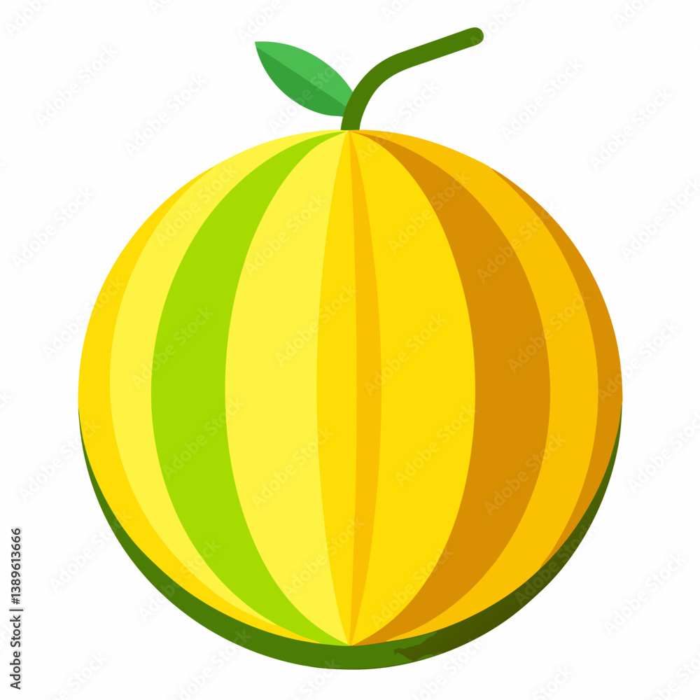 melon isolated on white melon isolated on white