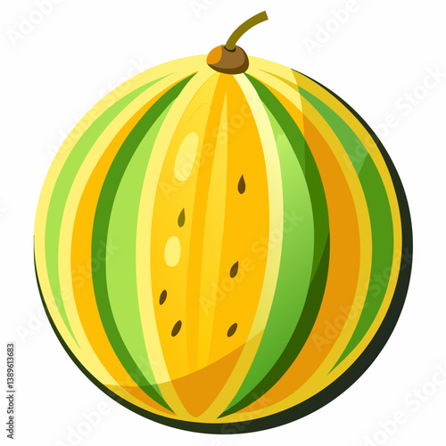 vector illustration of a ripe melon
