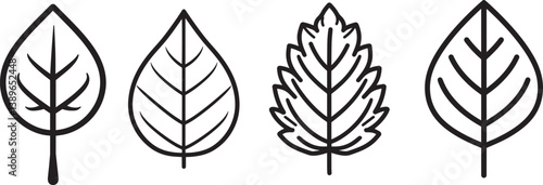 Leaf Series icon linear black on white background