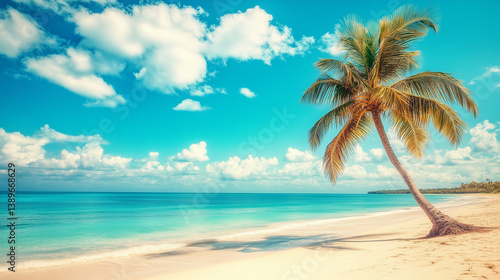 Palm tree on tropical beach with blue sky and white clouds abstract background. Copy space of summer vacation and business travel concept. 