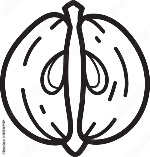 Nut Walnut icon linear black on white background