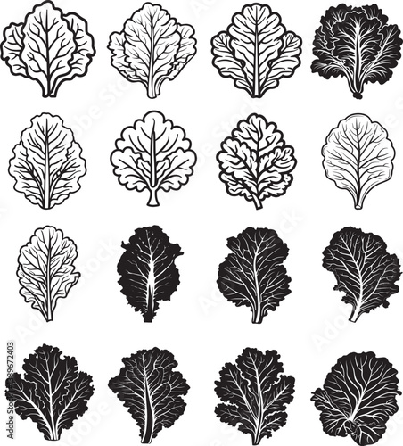 lettuce leaf icon linear black on white background