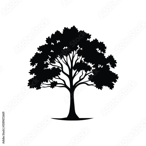 Tree silhouette isolated on a white Background