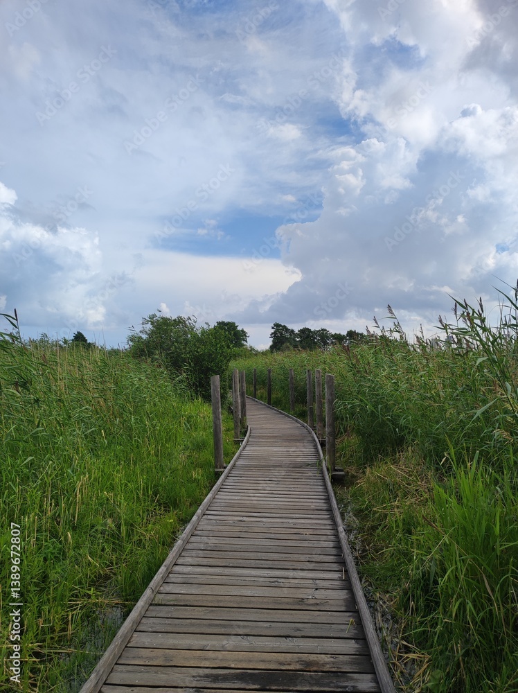 Wooden walkway in the wetlands of Helsinki, Finland