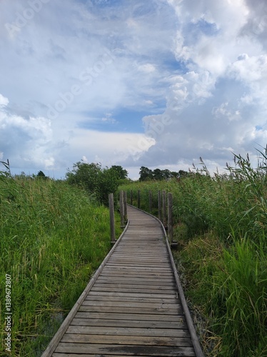 Obraz na płótnie Wooden walkway in the wetlands of Helsinki, Finland w salonie