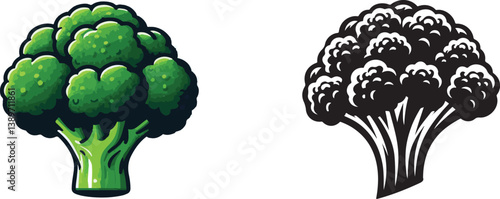 Broccoli vector art illustration. Broccoli vector icon.