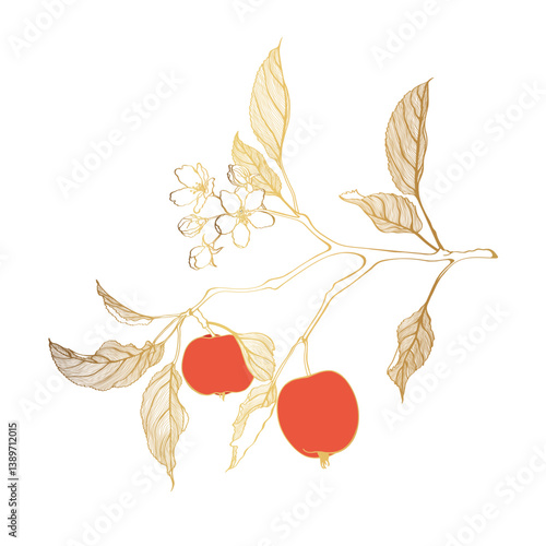 Golden line apple branch. Blooming branch of sakura apple tree.