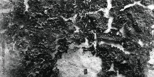 Slika na platnu The way light interacts with the myriad of tiny facets on this textured surface creates a captivating sparkle and shimmer in monochrome