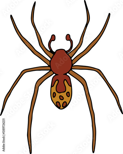 brown hobo spider with spots on abdomen hand drawn with curved black lines contours, top view