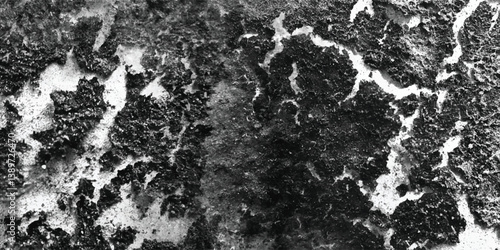 An exquisitely detailed examination of a surface characterized by numerous bumps, ridges, and subtle indentations, presented in grayscale.
