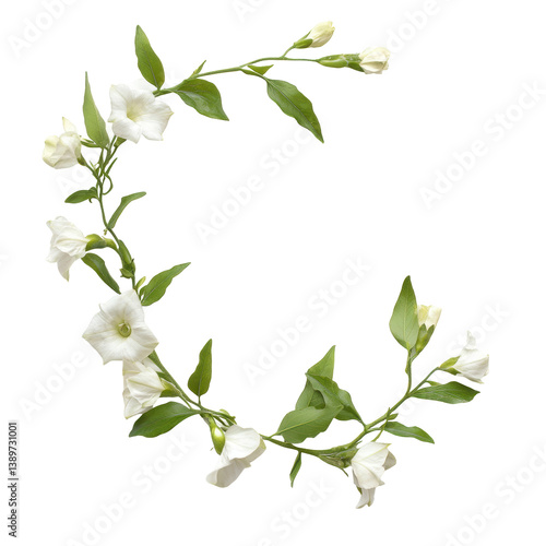 A delicate circular arrangement of white flowers with green leaves, showcasing elegant petals and natural beauty.