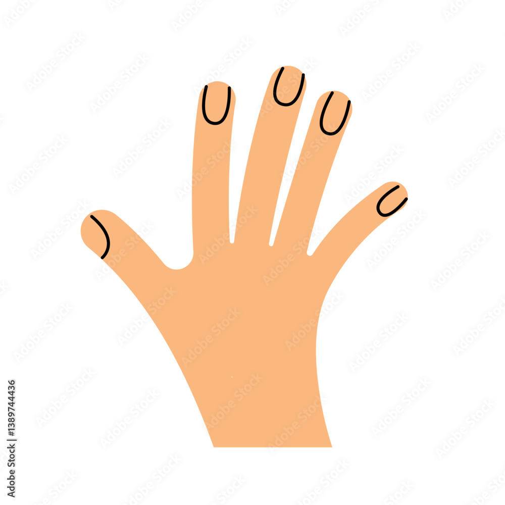 Obraz premium Back of the hand. Gesture. Color trendy vector illustration. Index, middle, ring, little fingers and thumb