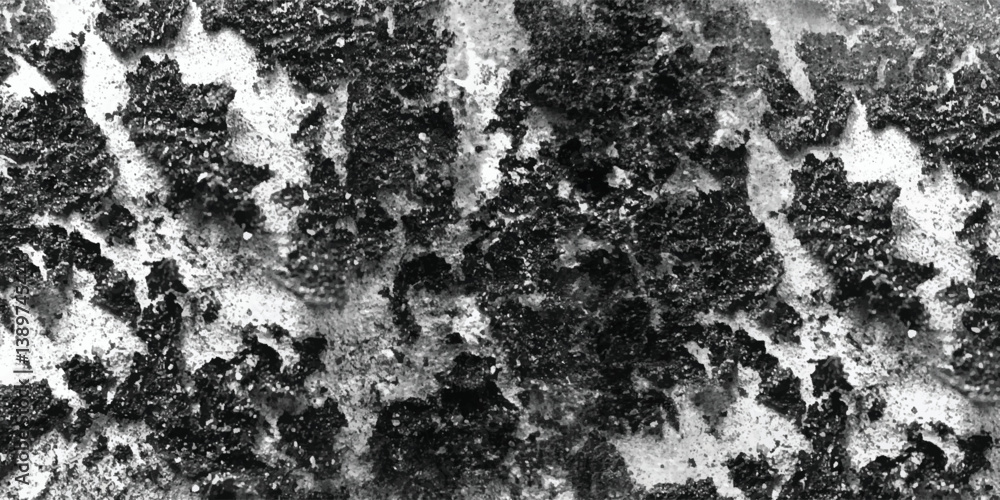 Obraz premium The rich and varied textures present on this surface are meticulously rendered in a detailed and evocative black and white image. 
