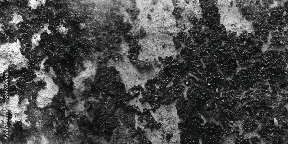 Obraz premium A carefully observed and thoughtfully composed study of the subtle variations in texture across an abstract surface in grayscale. 