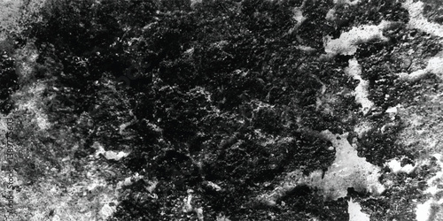 The sheer density and intricacy of the texture are brought into sharp focus in this detailed black and white photograph.
