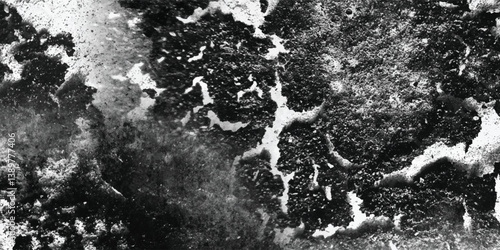 An intensely detailed and almost forensic examination of the minute surface characteristics in a grayscale image.
