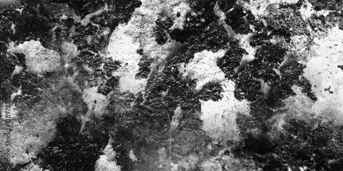 The way light grazes the surface, revealing the subtle contours and variations in texture, is beautifully captured in grayscale.
