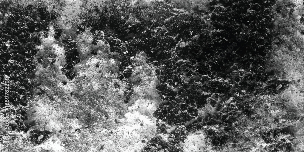 Obraz premium The sheer density and complexity of the texture are rendered with remarkable clarity in this detailed monochromatic photograph. 