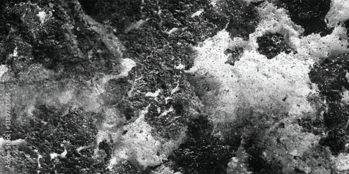 The rugged beauty of a naturally occurring texture is presented in a stark and impactful black and white composition.
